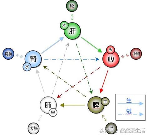 塑料五行属什么|塑料、玻璃在五行中属什么？